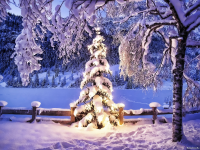 /album/kepgaleria-kezdolap/hatterkepek-5-png/